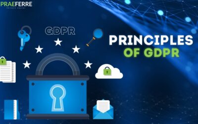 Understanding the Core Principles of GDPR